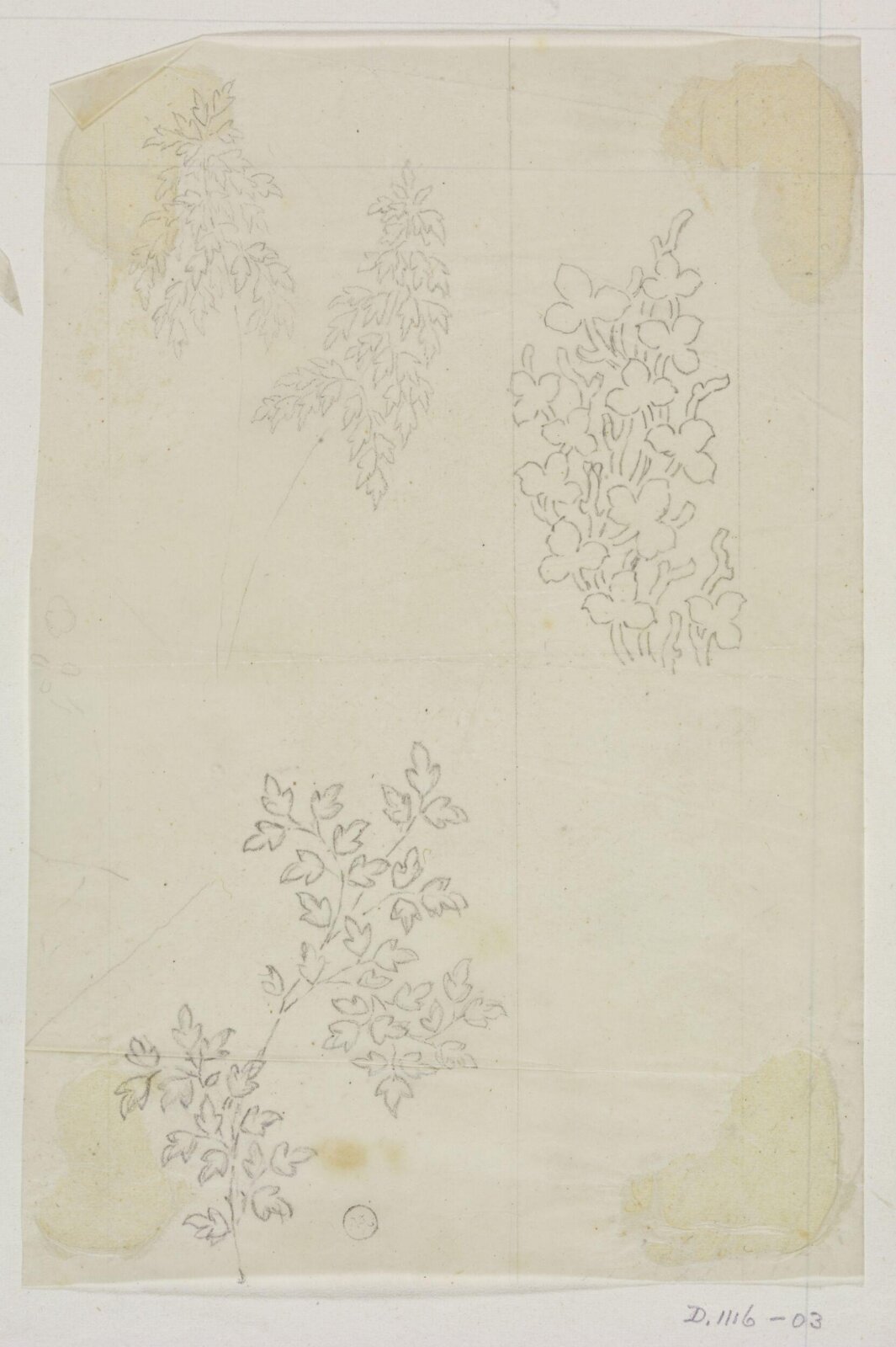 Drawing