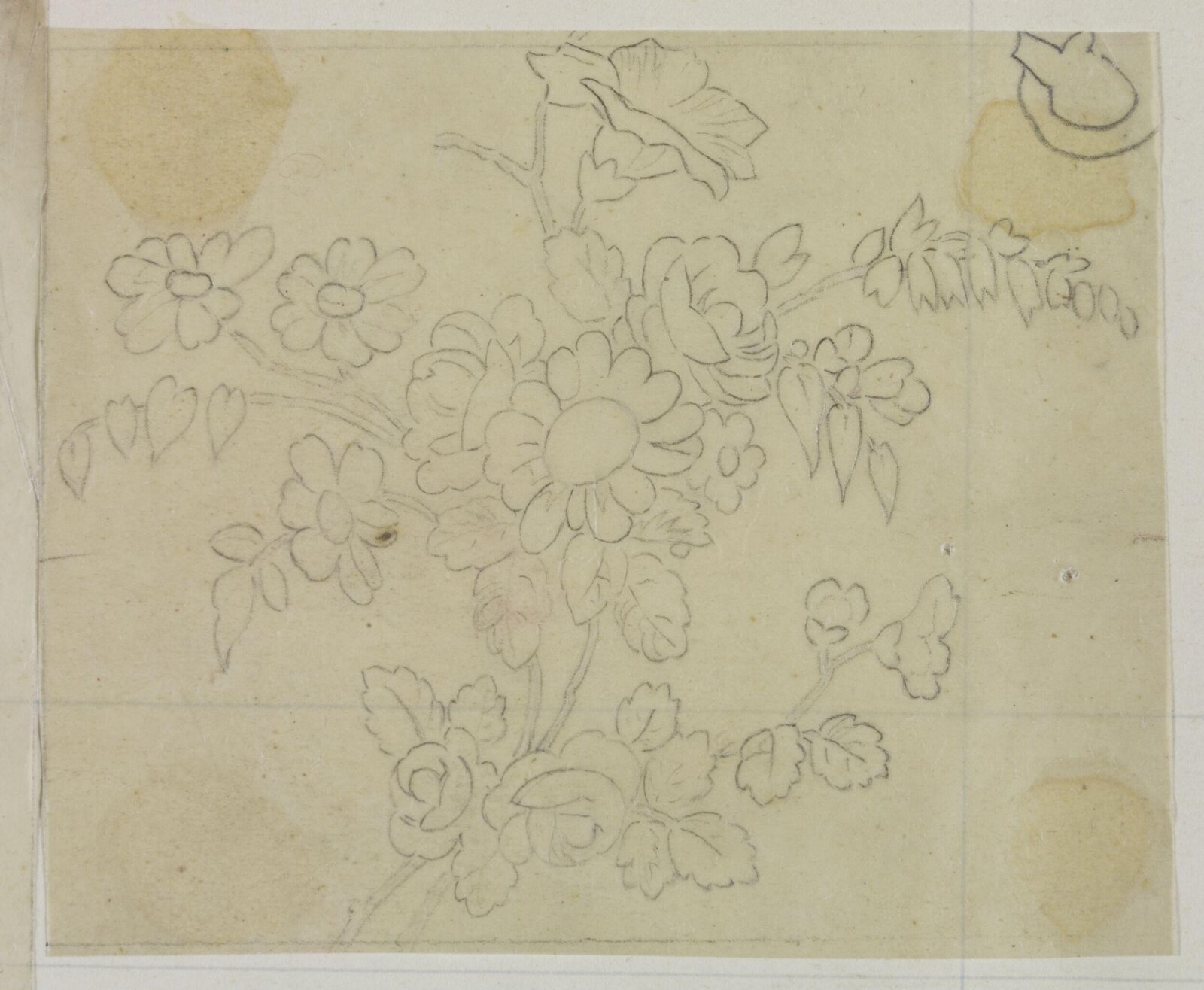 Drawing