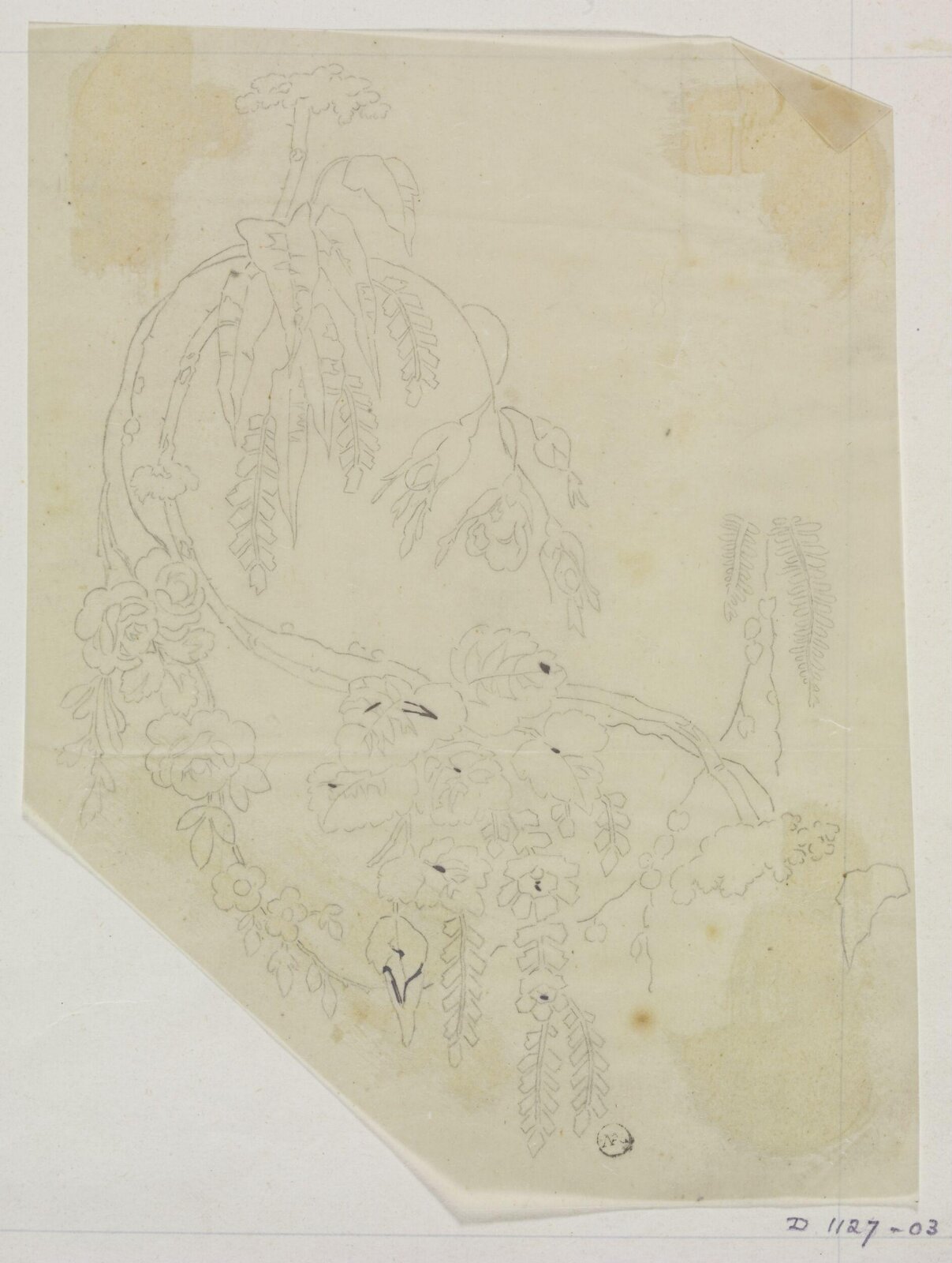 Drawing