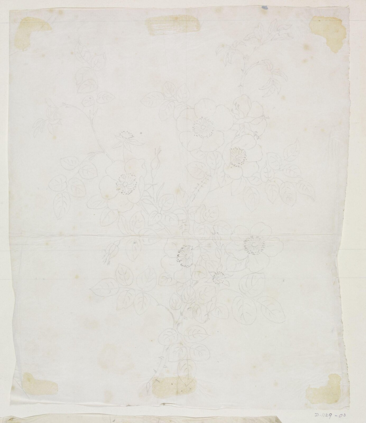 Drawing