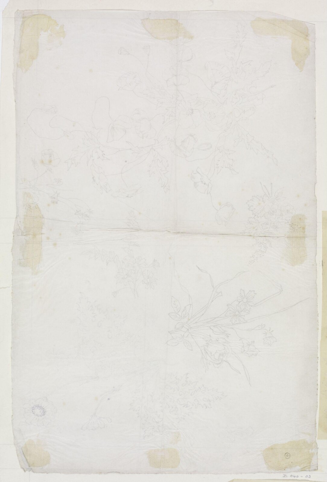 Drawing