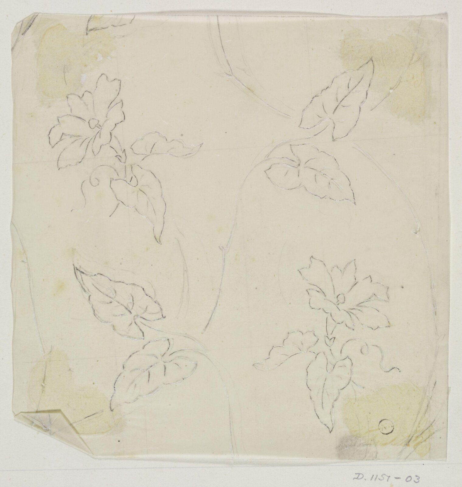 Drawing