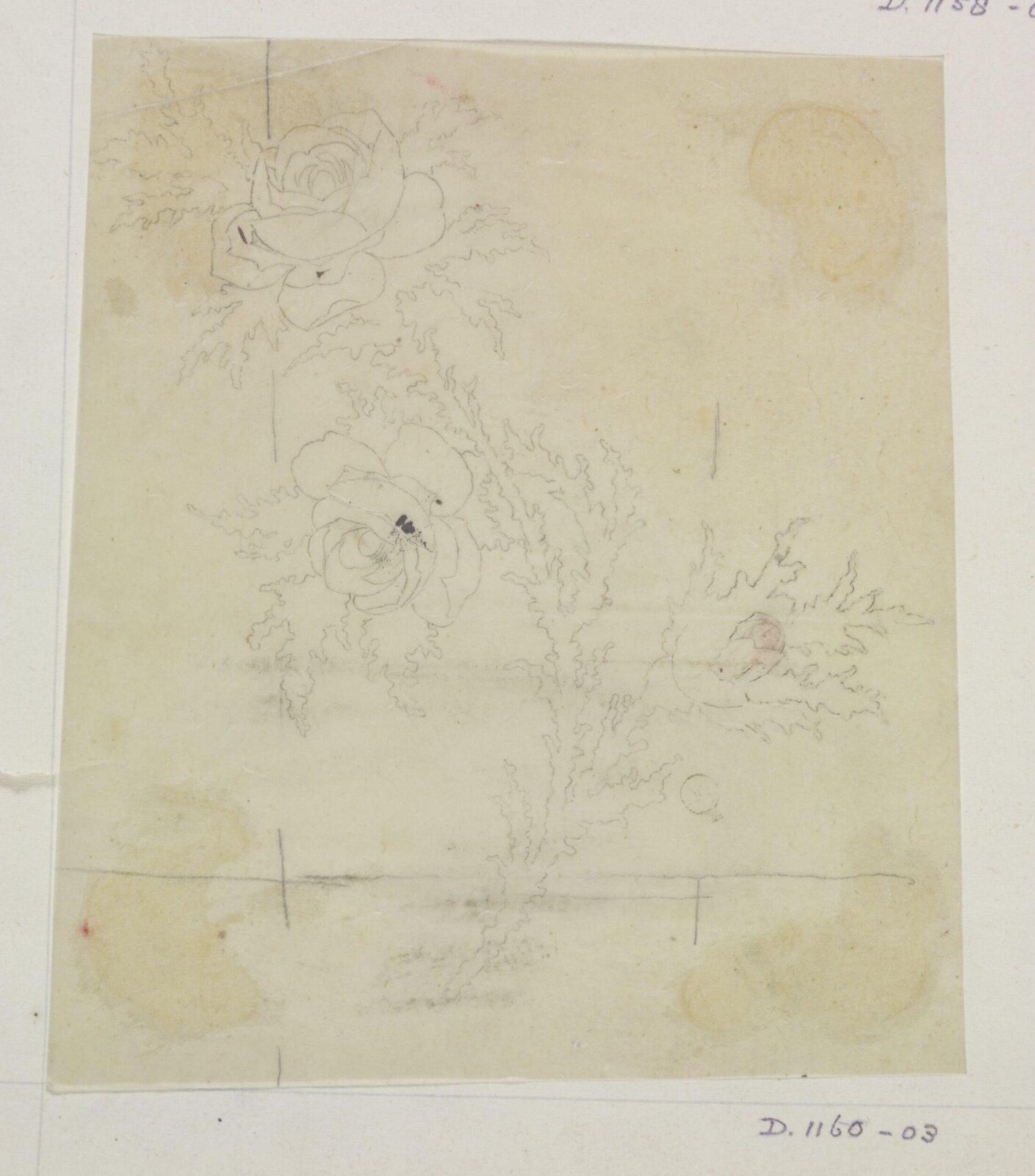 Drawing