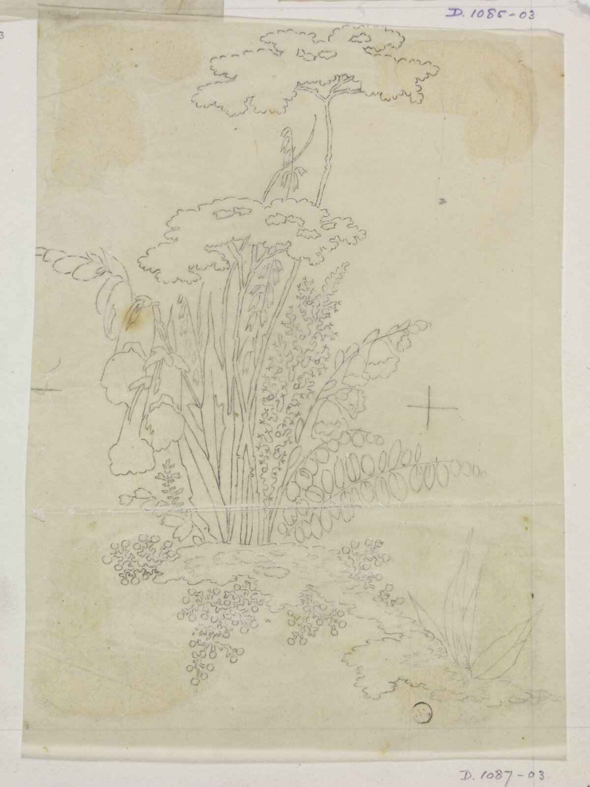 Drawing