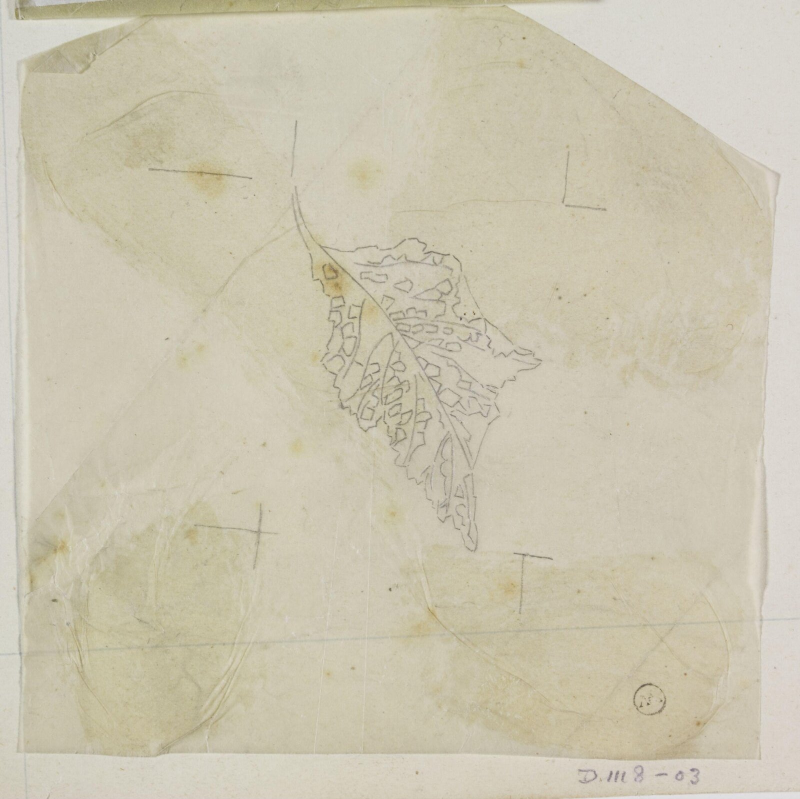 Drawing