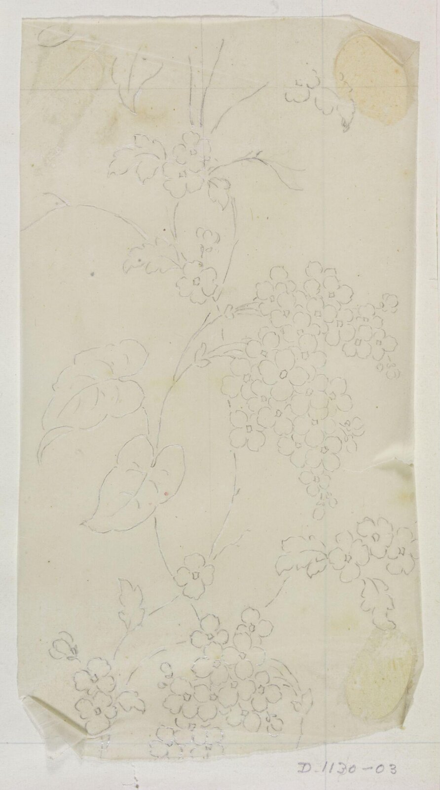 Drawing