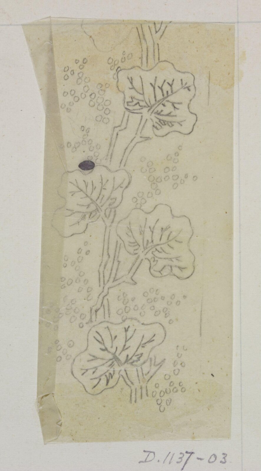 Drawing