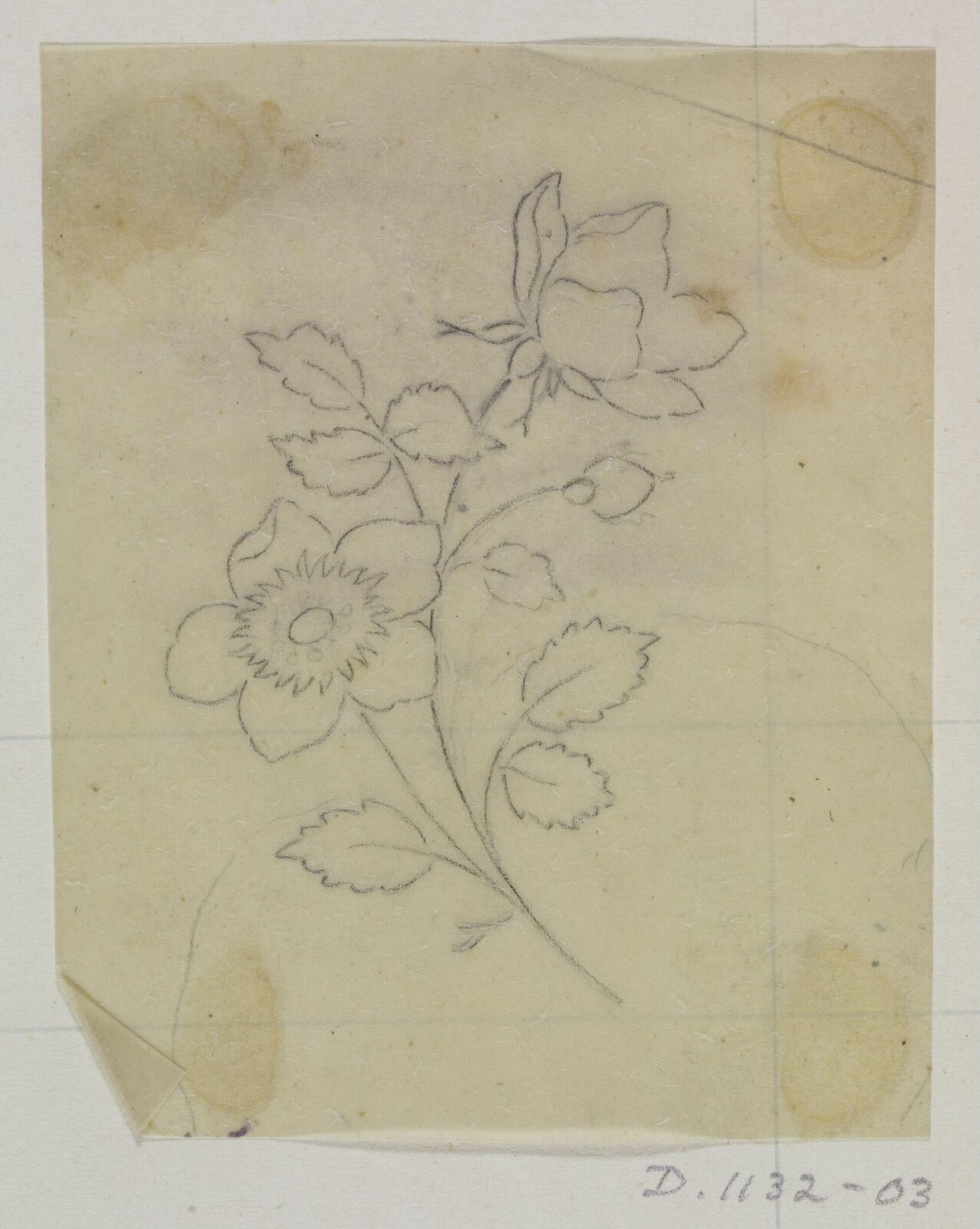 Drawing