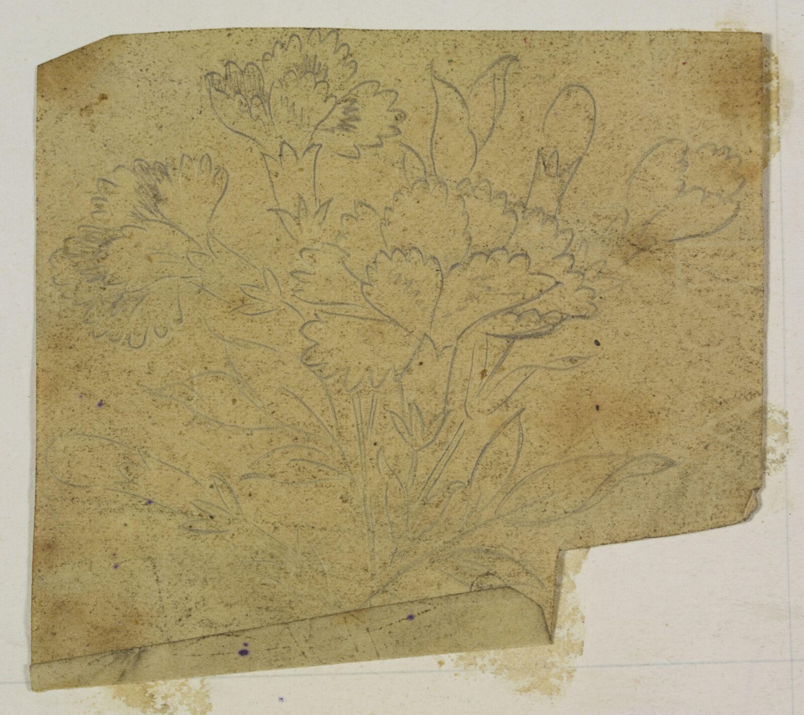 Drawing