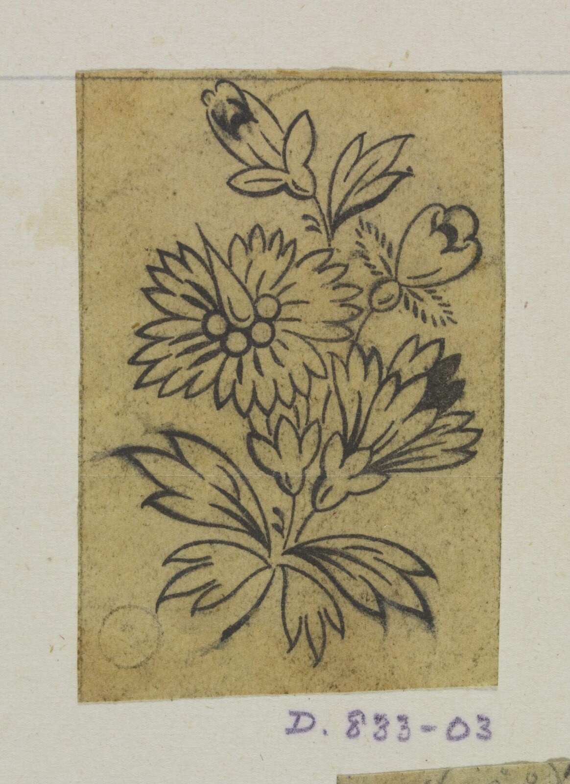 Drawing
