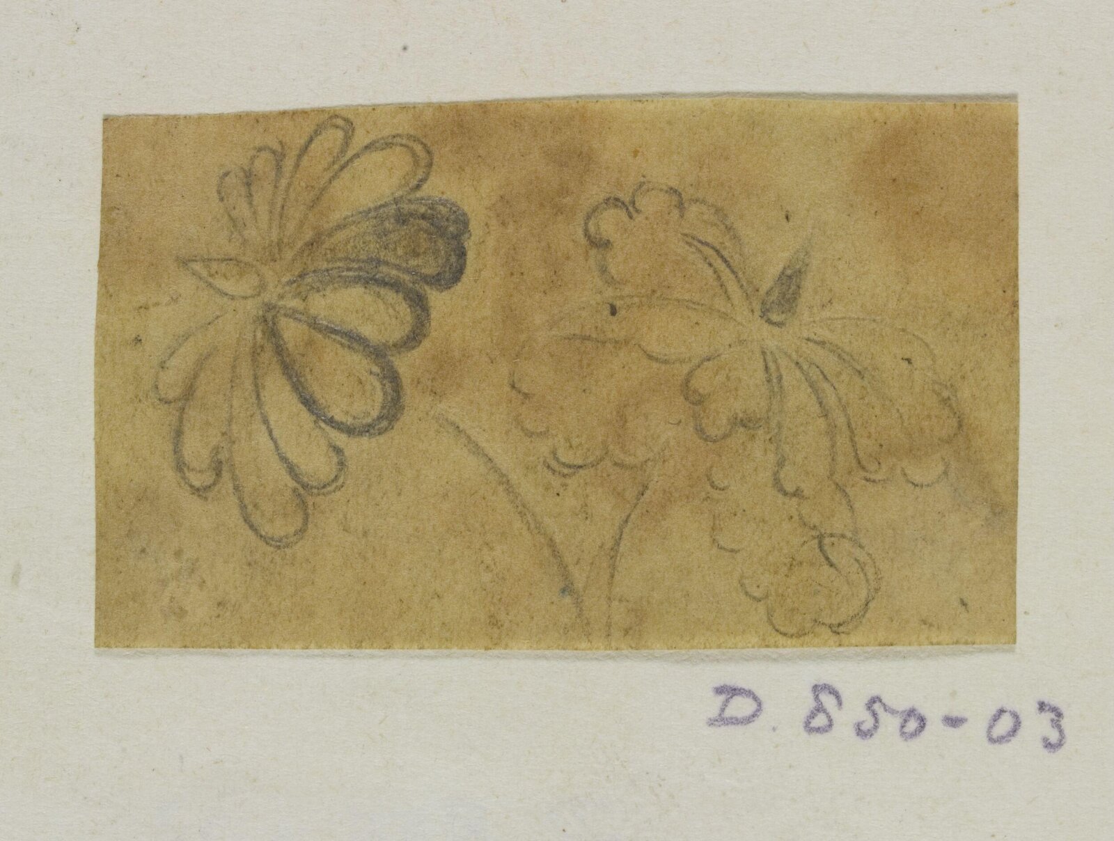 Drawing