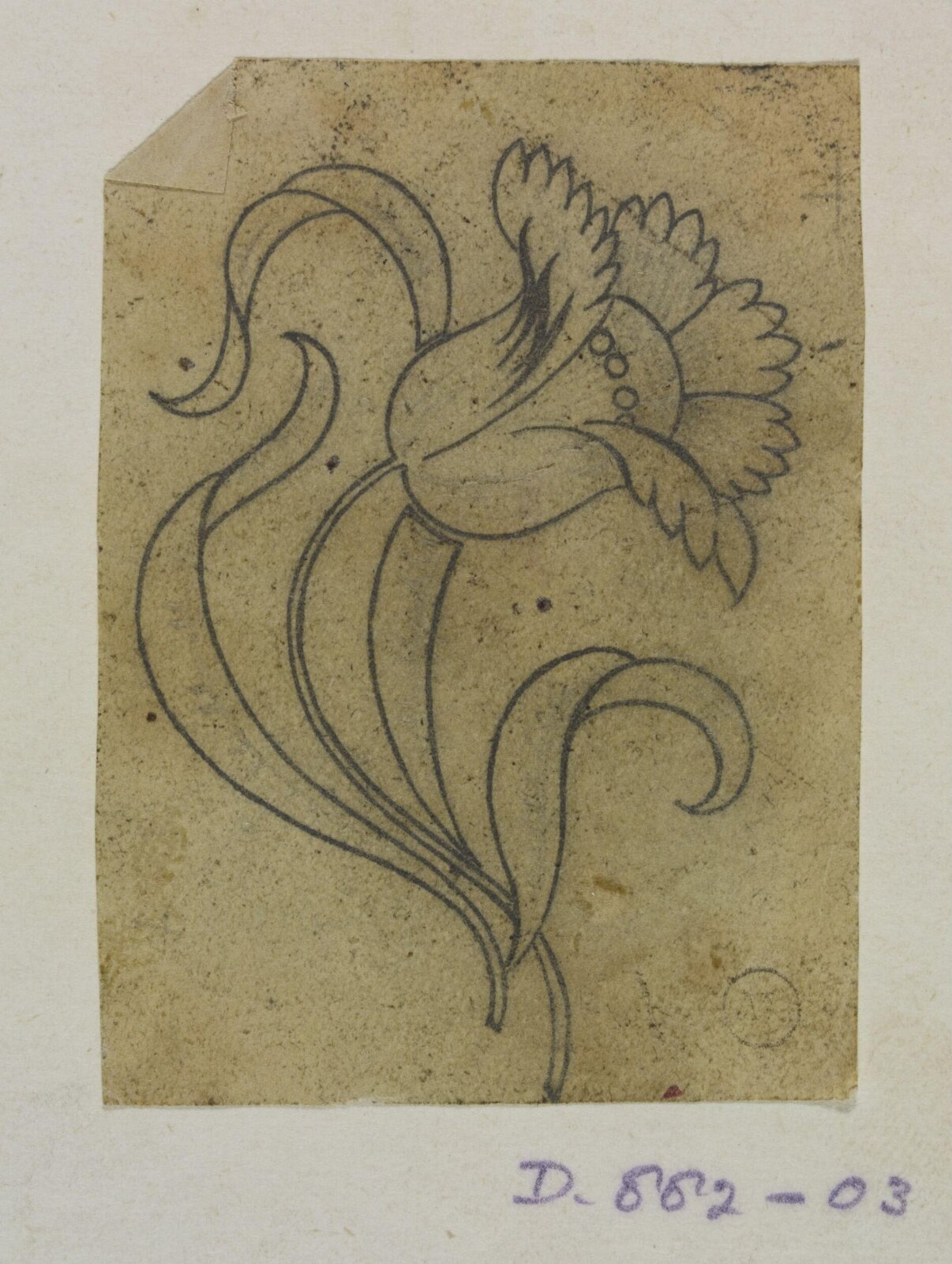 Drawing