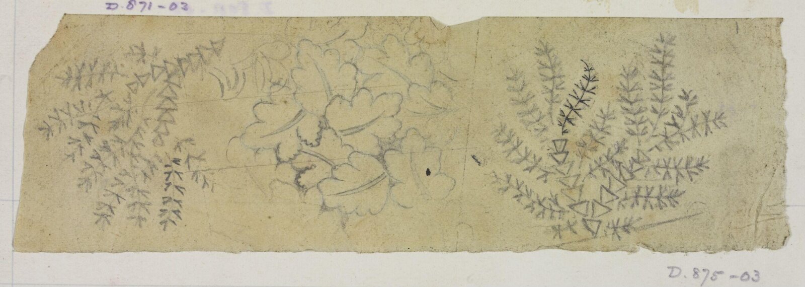 Drawing