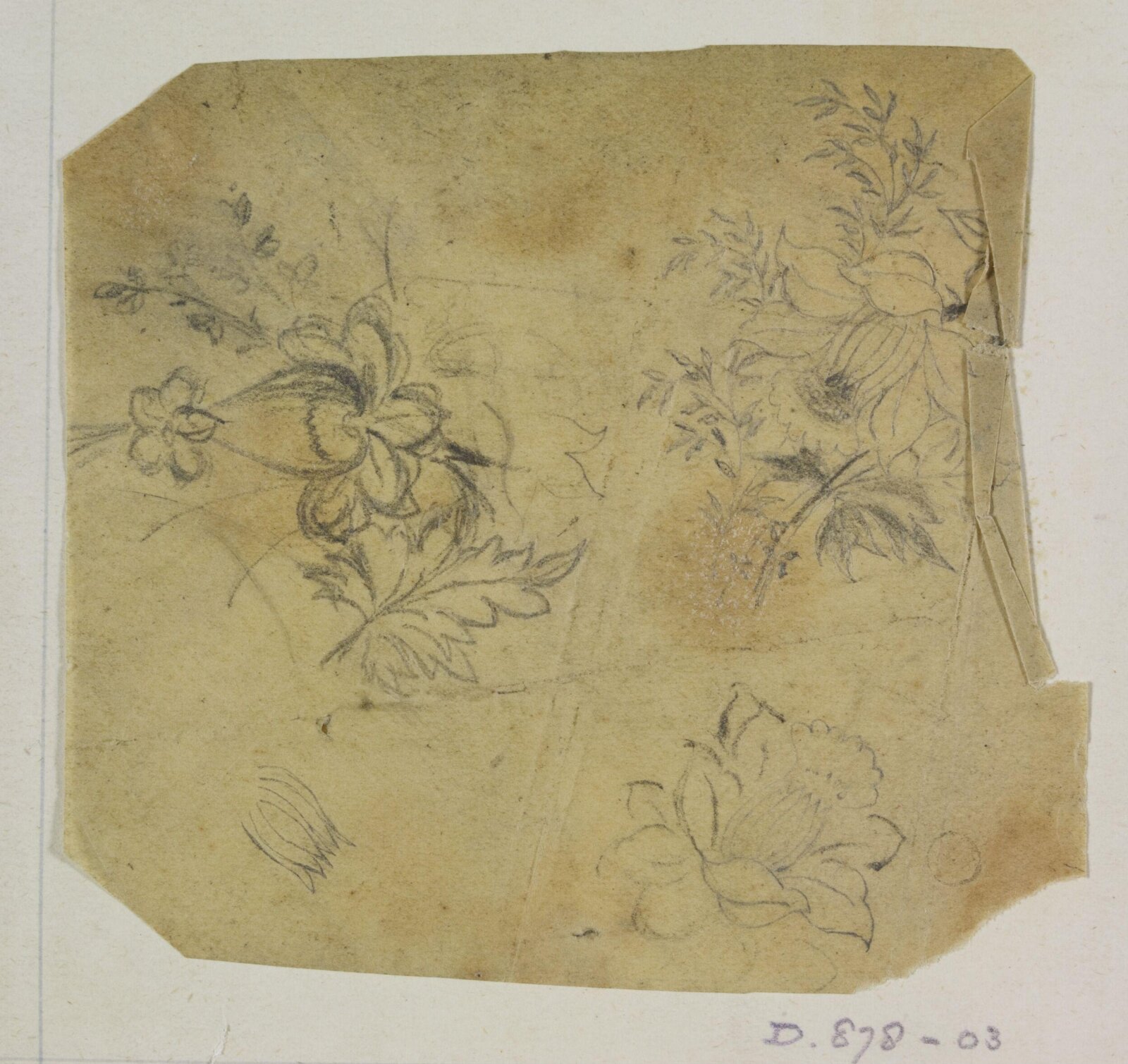Drawing