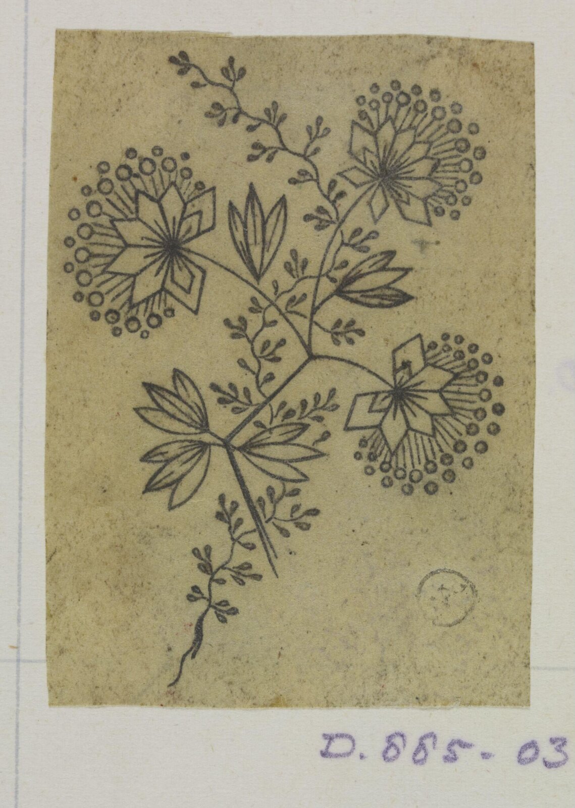 Drawing