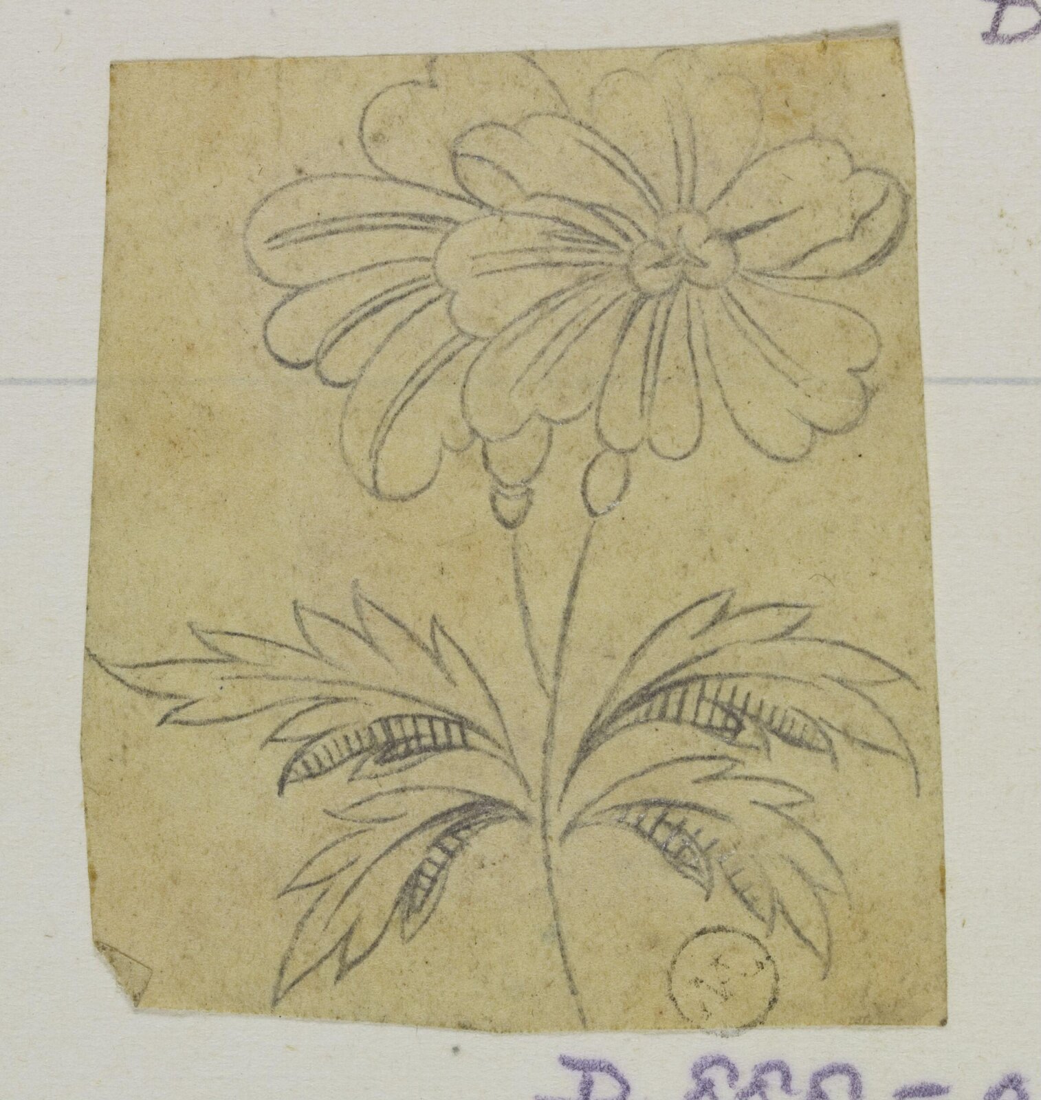 Drawing
