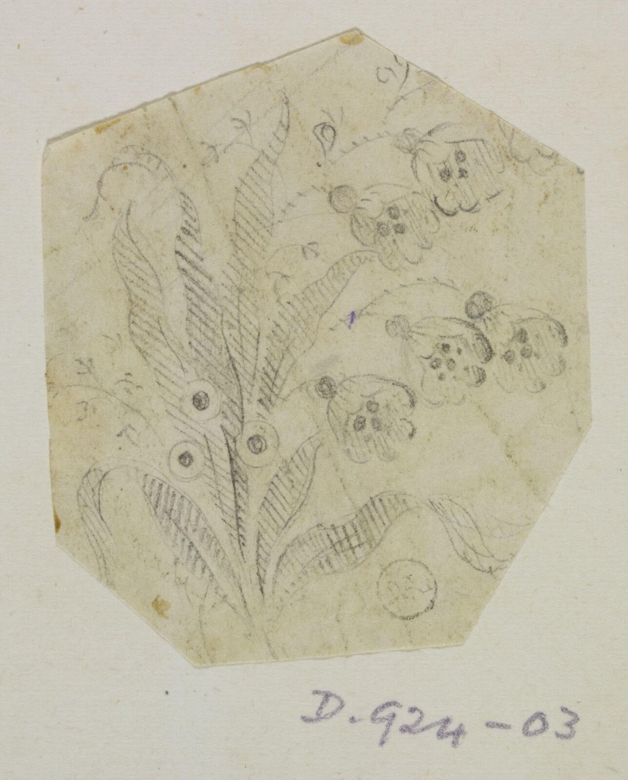 Drawing