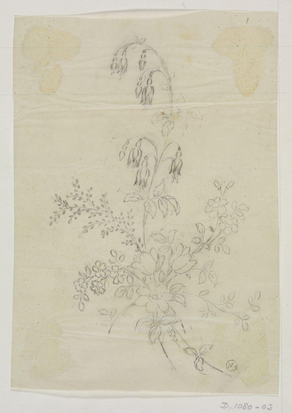 Drawing