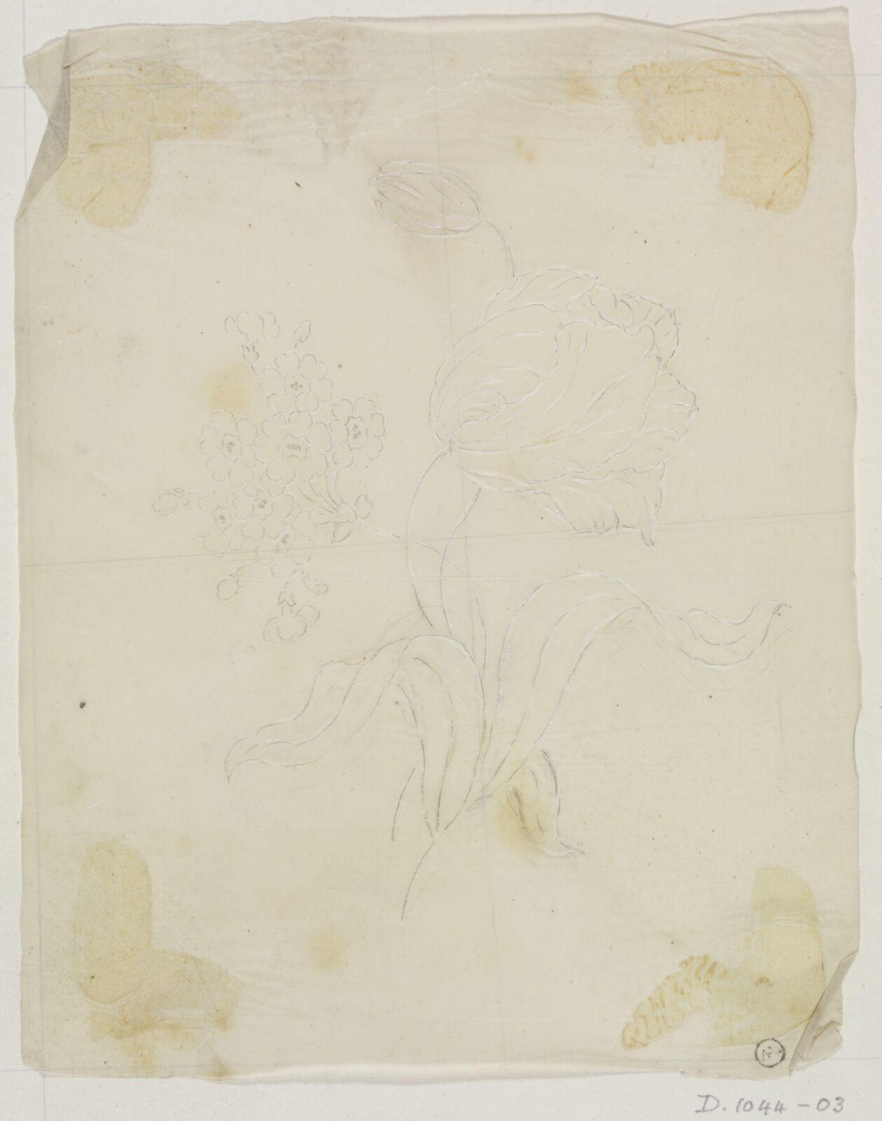 Drawing