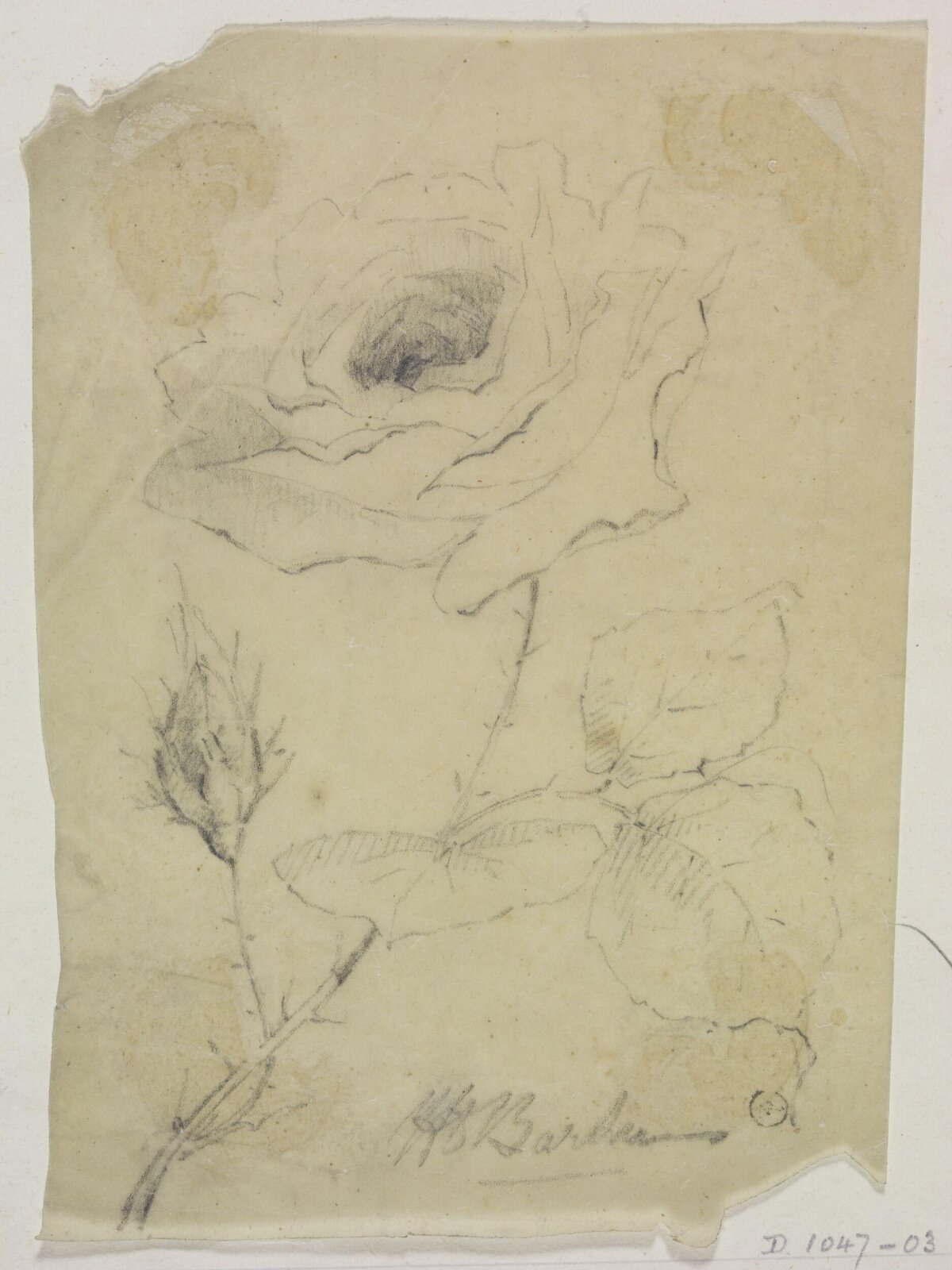 Drawing