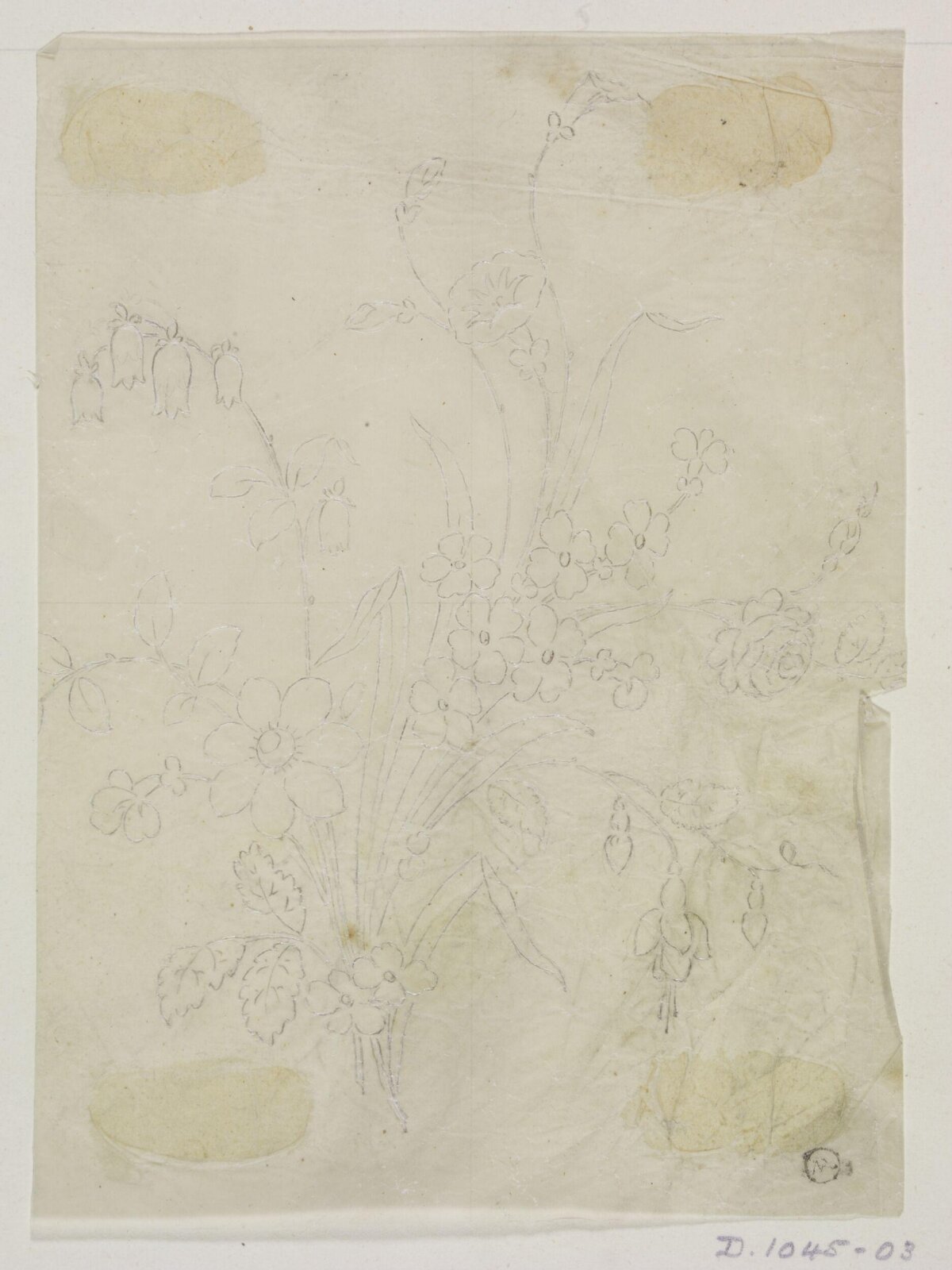 Drawing