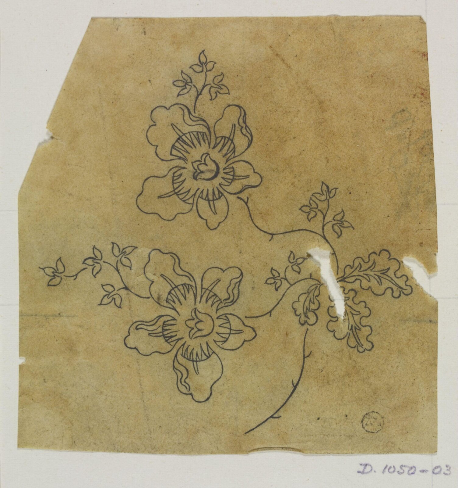 Drawing