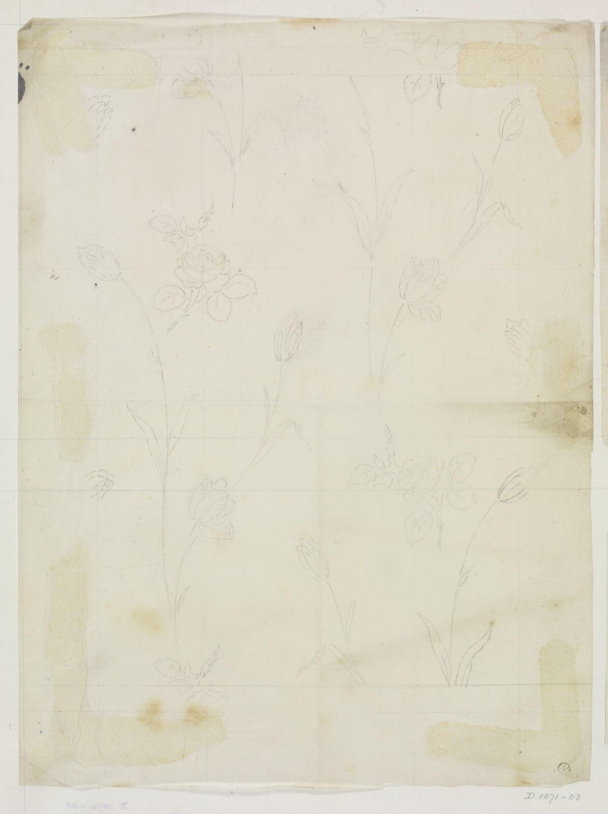 Drawing