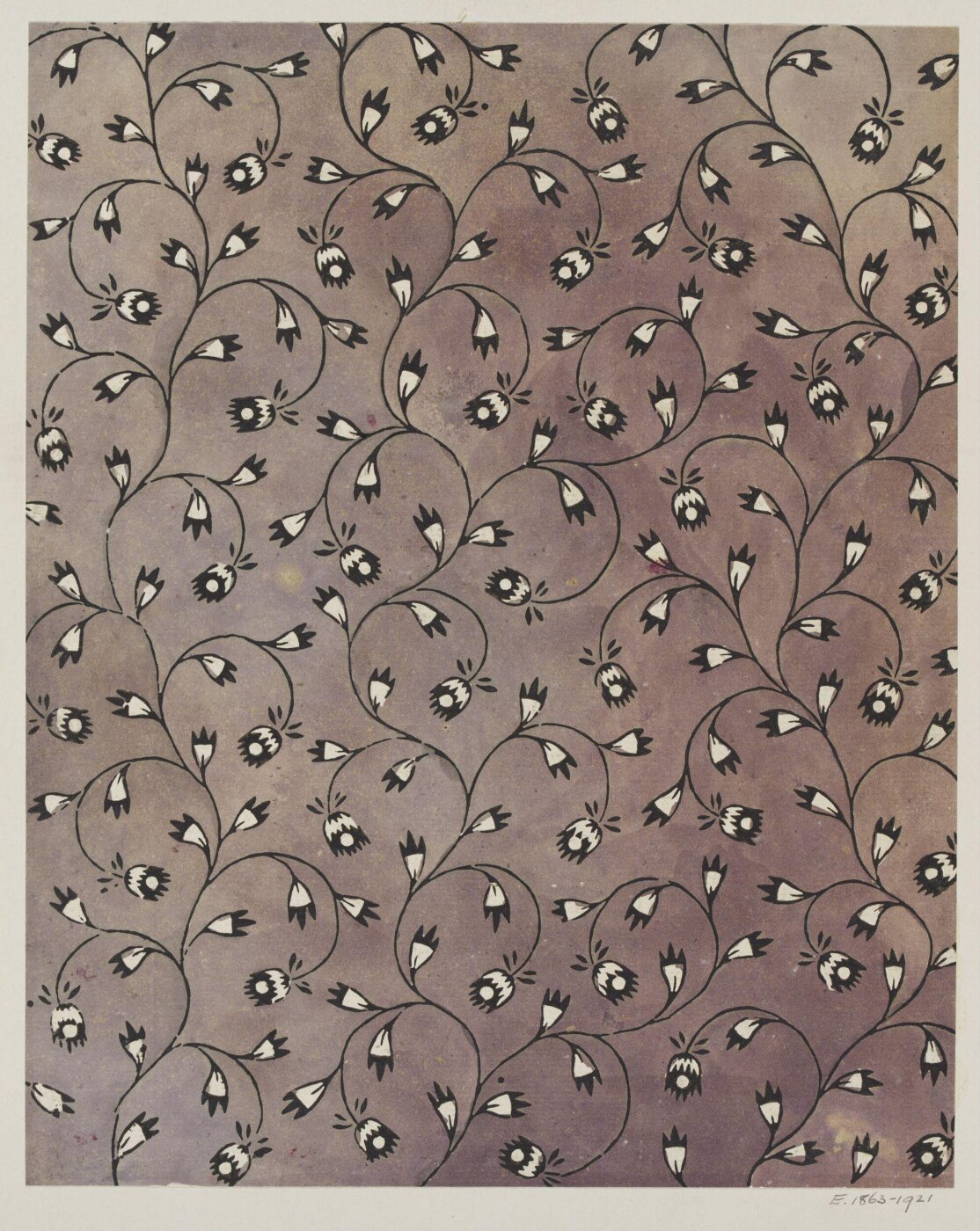 Unknown, Untitled