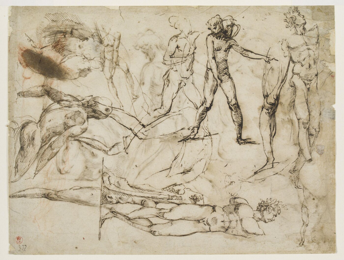 Polidoro da Caravaggio, Studies from the nude