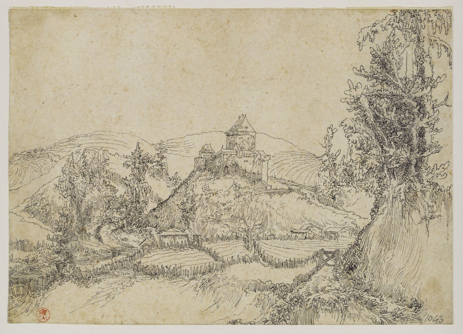 Drawing