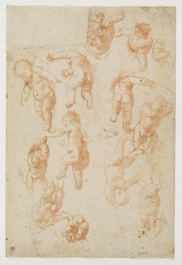 Studies of cherubs for ceiling decoration top image