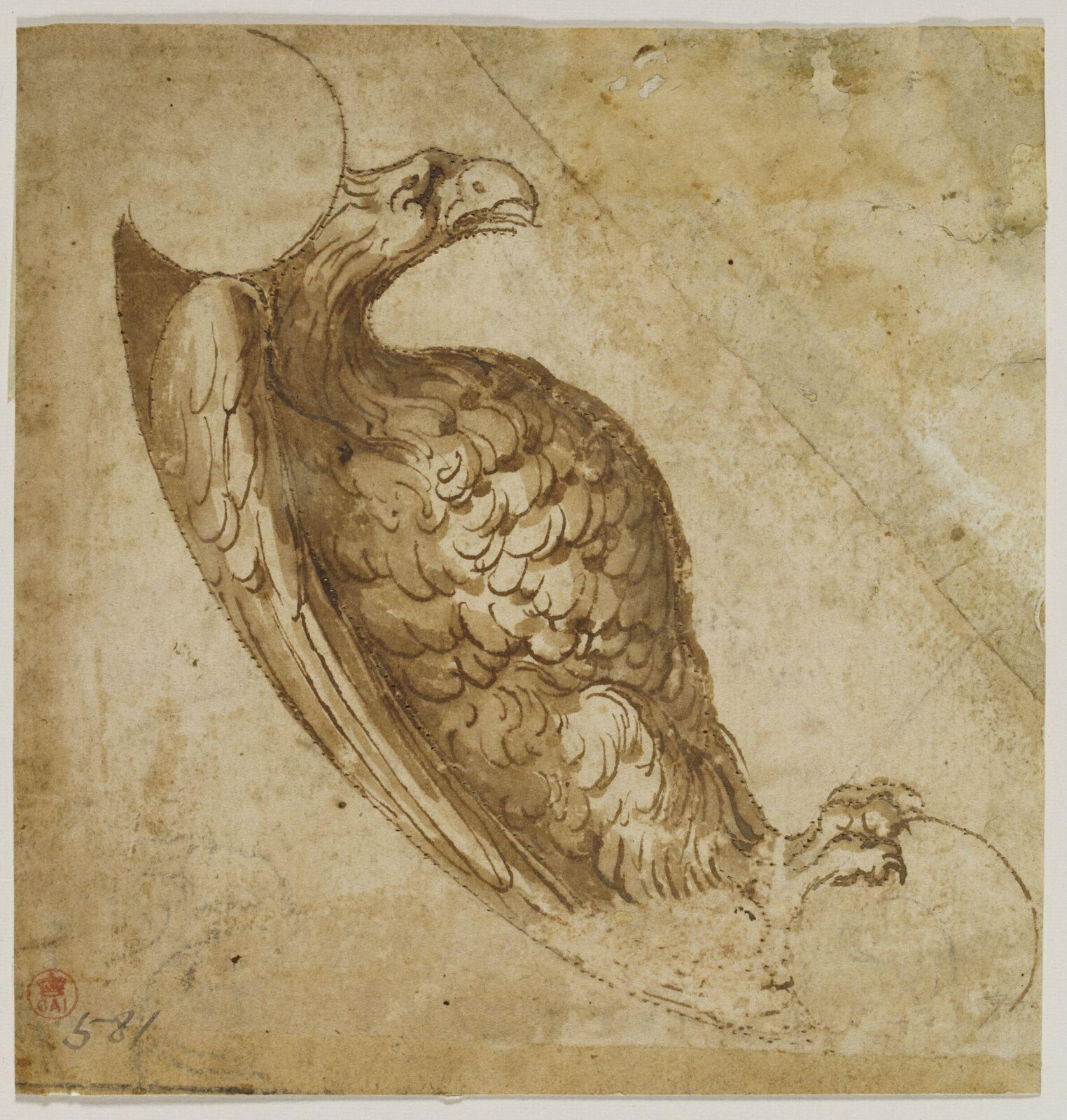 Drawing