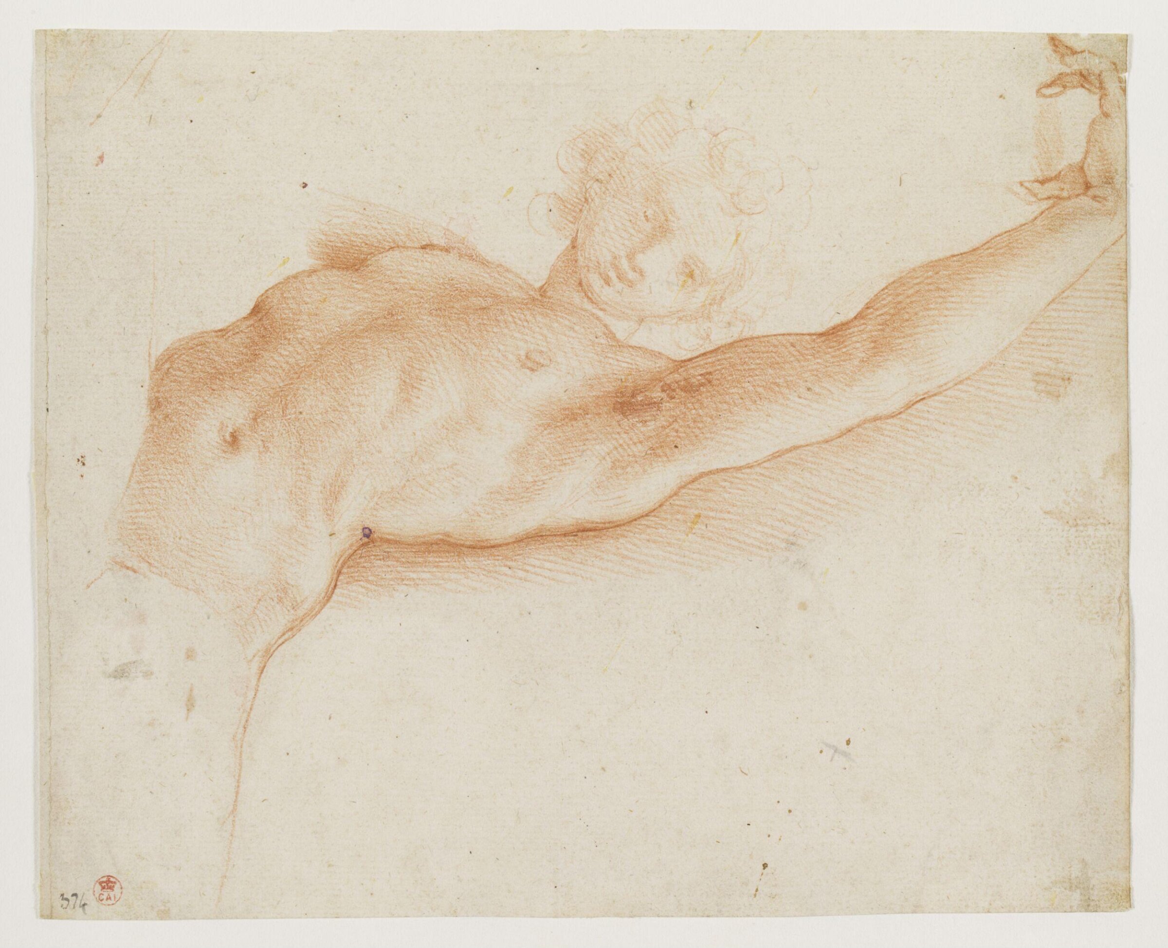 Half-length study of a youth with a raised left arm, Cristoforo Roncalli, ca. 1609