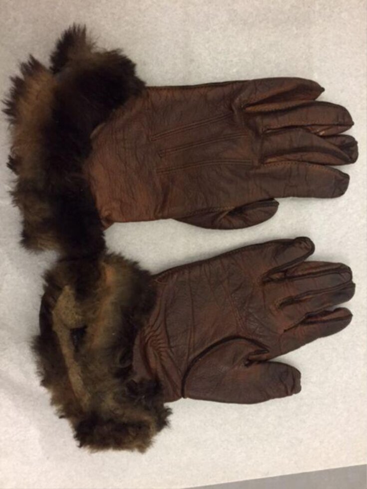 Pair of Gloves top image