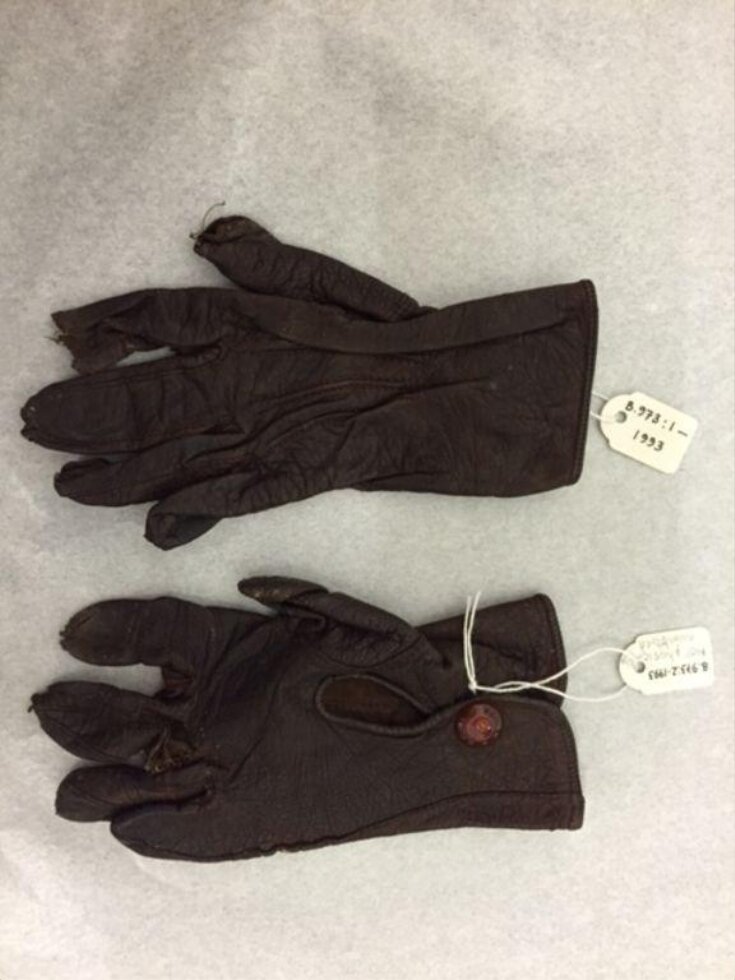 Pair of Gloves top image