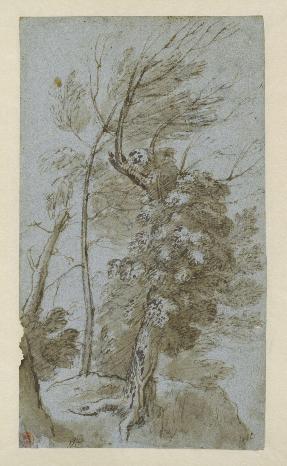 A study of trees, Claude Lorrain, ca. 1630