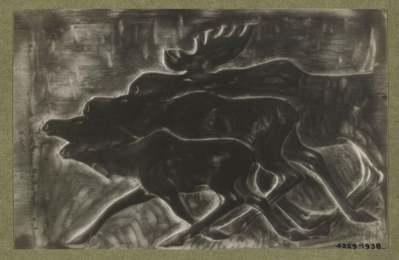 unknown, Photograph