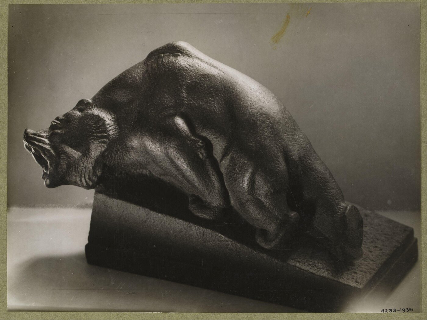 unknown, Photograph