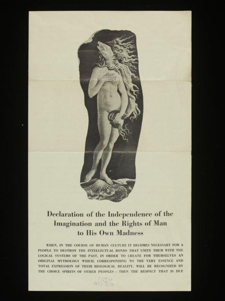 Declaration of the independence of imagination and the rights of man to his own madness top image