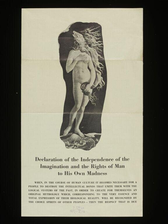 Declaration of the independence of imagination and the rights of man to his own madness