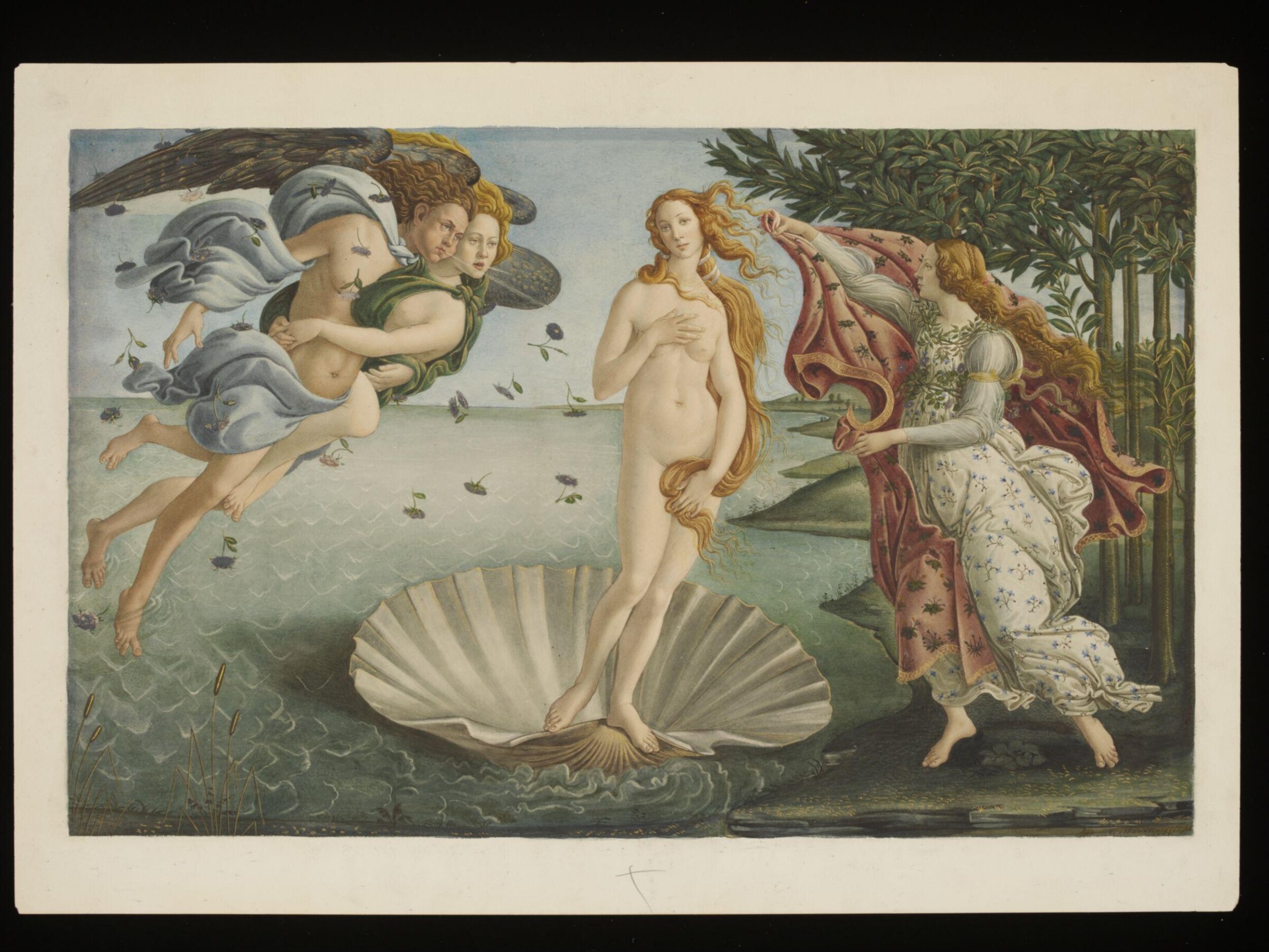 Copy after the Birth of Venus by Sandro Botticelli in the Uffizi (Florence), Sandro Botticelli, 1868