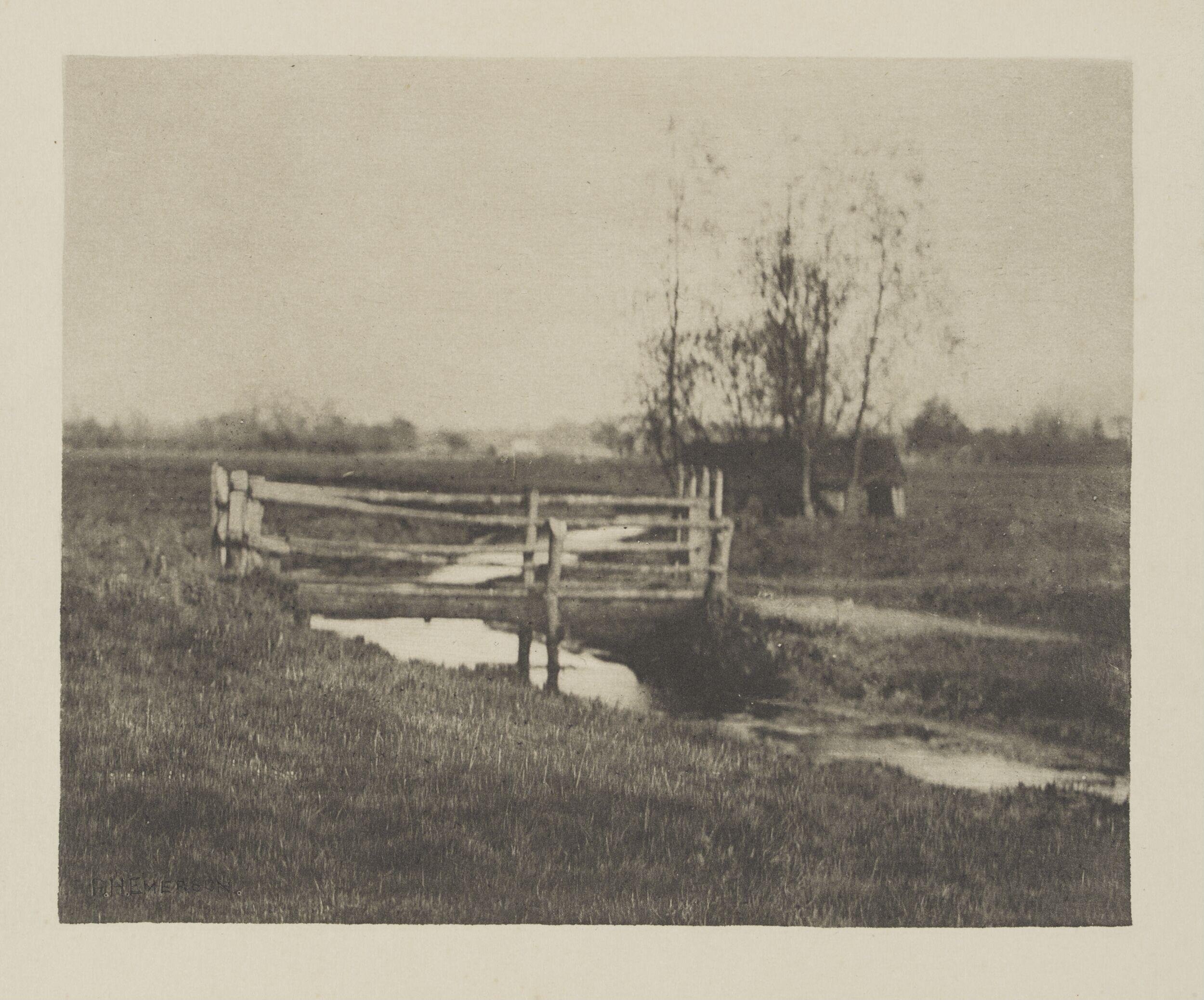 Pictures of East Anglian Life
