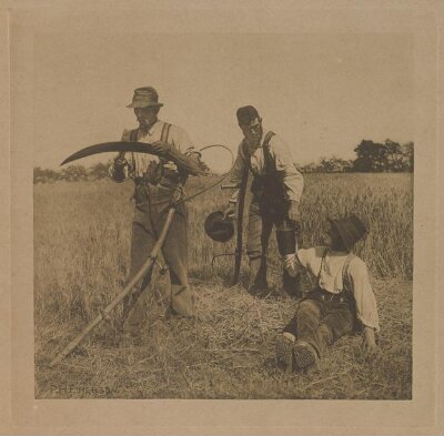 In the Barley Harvest