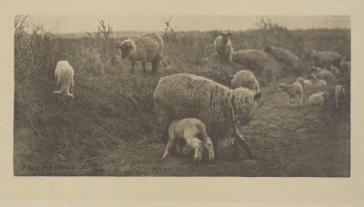 A March Pastoral