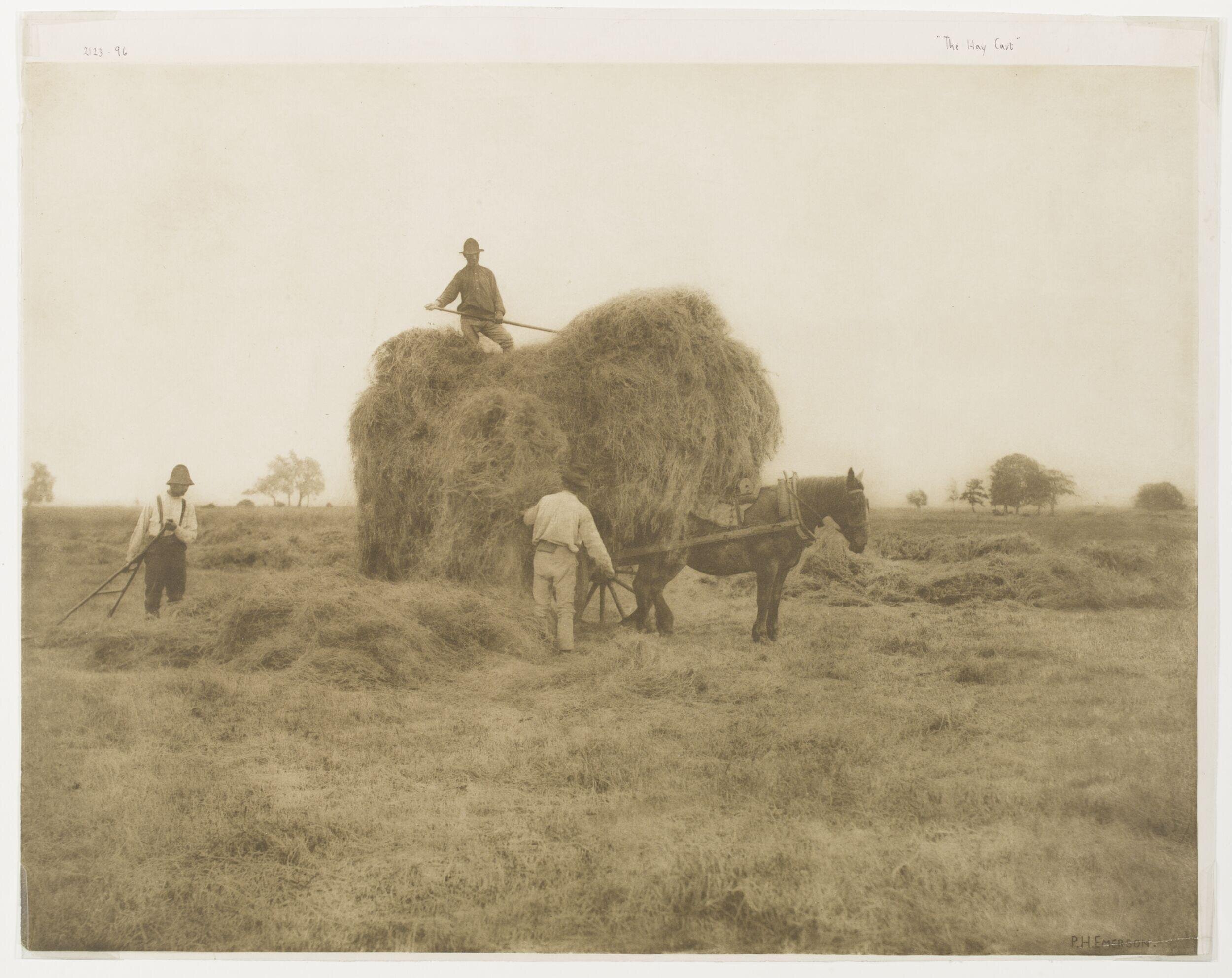 The Hay Cart