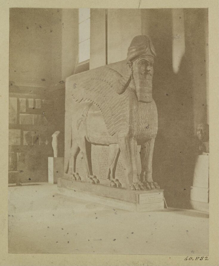 Assyrian sculpture of a lion winged.  London: British Museum top image