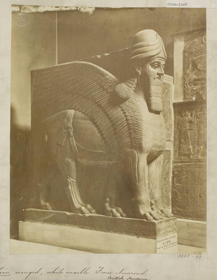 Neo-Assyrian colossal statue of a winged lion in white marble from the North-West palace of Ashurnasirpal II, Nimrud (ancient Kalhu), northern Iraq.  London: British Museum top image