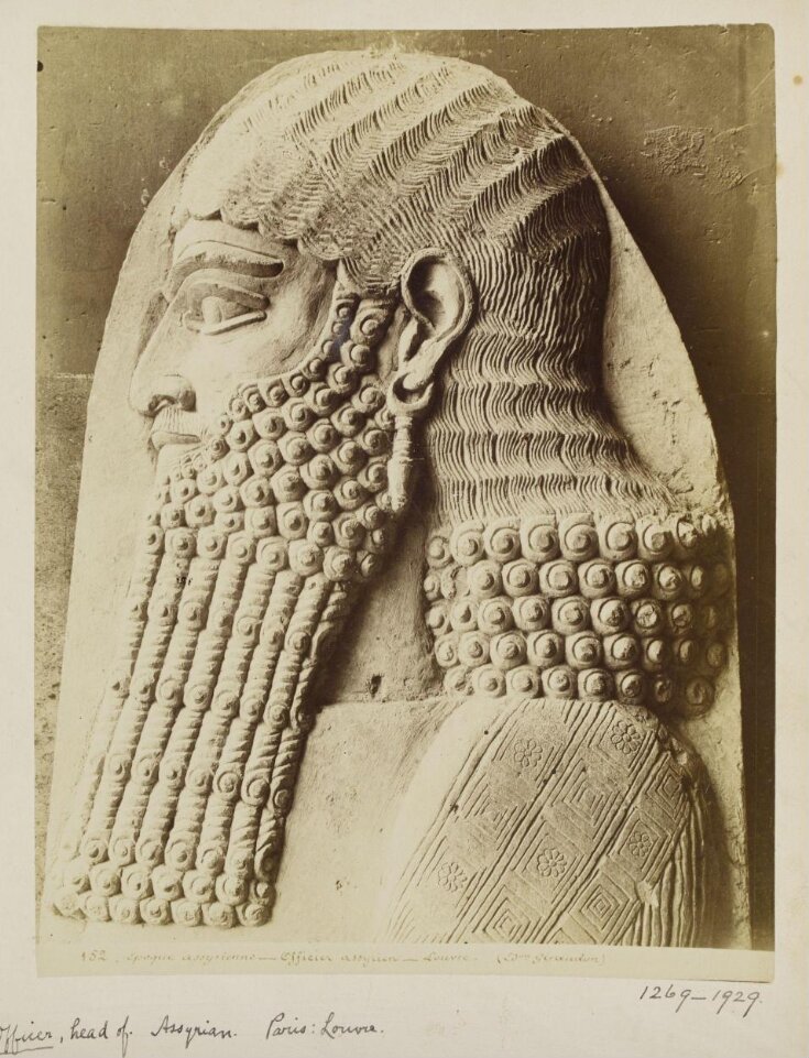 Relief of head of Assyrian officer. Paris: Louvre top image