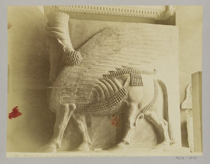 Winged bull from Khorsabad (Sargon, 722-705 B.C.). Paris: Louvre top image