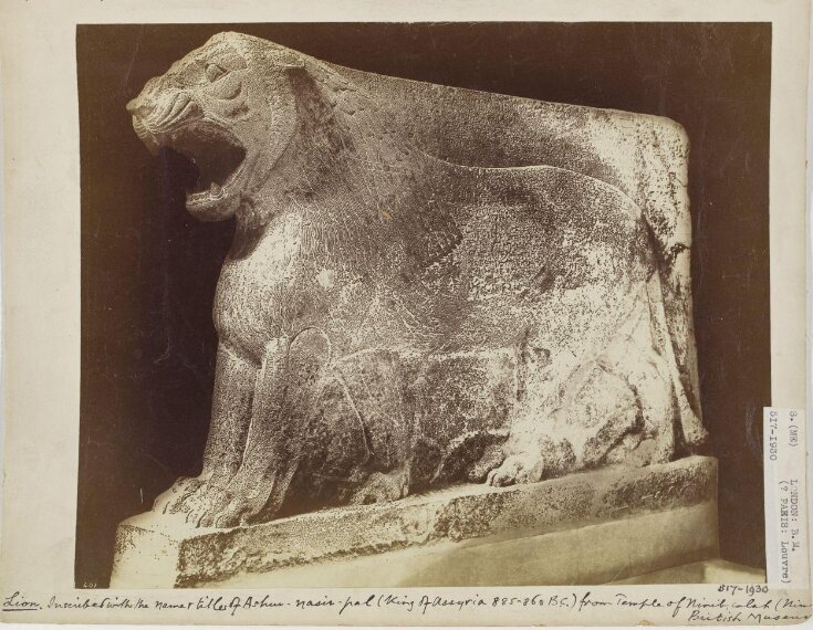Assyrian sculpture of a lion inscribed with the name and titles of Ashur-nasir-pal (King of Assyria 885-860 B.C.) from the Temple of Nirib, Calah top image